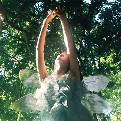 好汉两个半第十一季